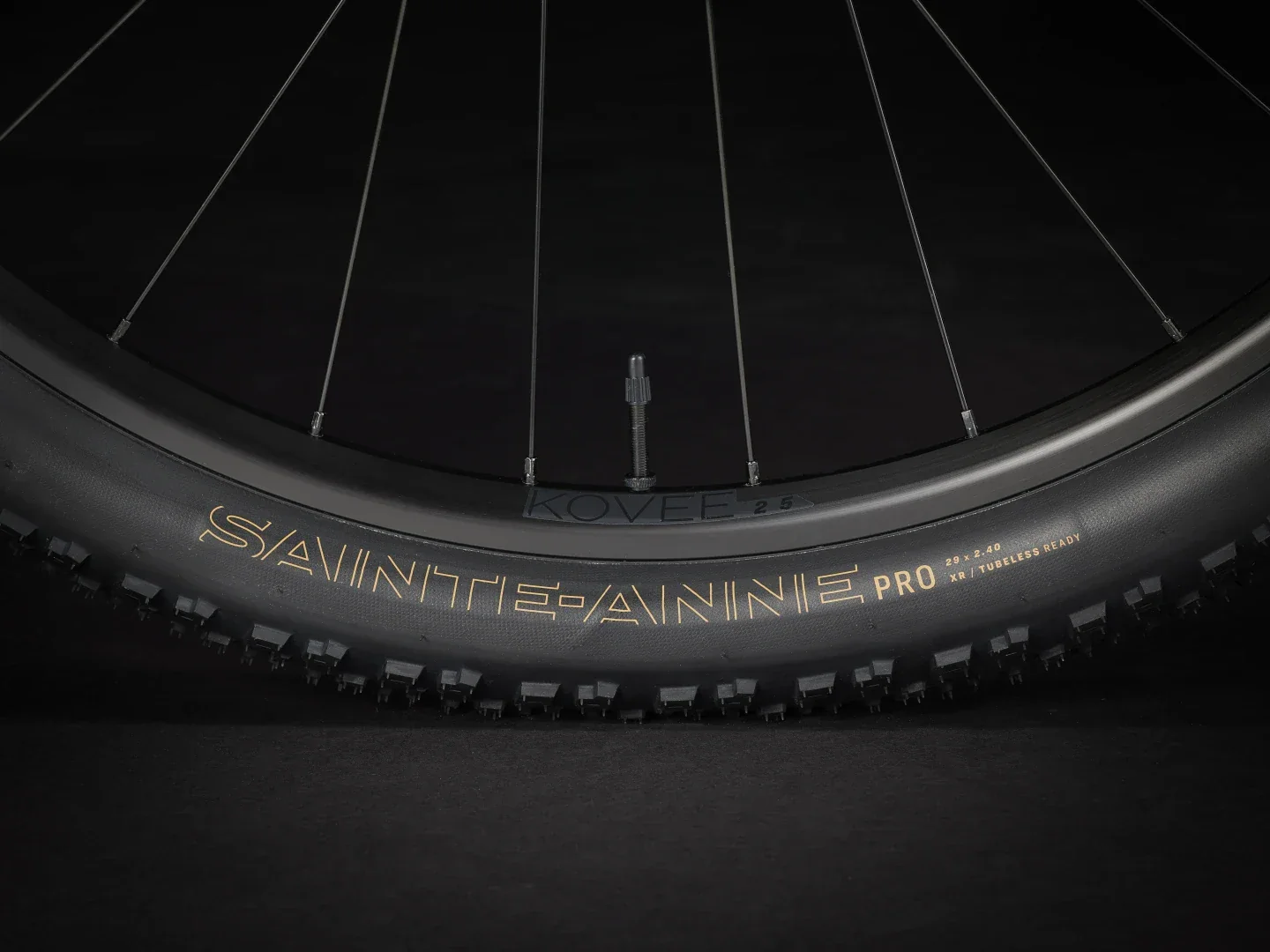Procaliber 8 - 2025 - Image 18
