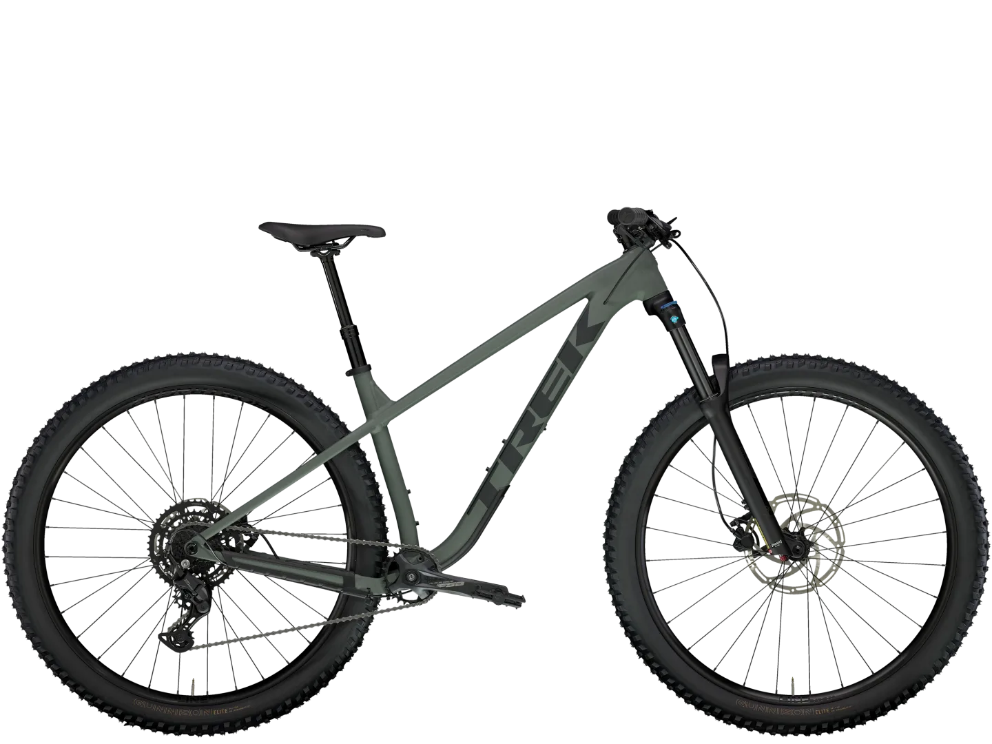 Roscoe 6 - 2025 - Image 2